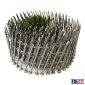 BDC 2,5x60 BK  скошенный нос гладкий BDC 2,5x60 BK  скошенный нос гладкий