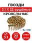 DPN 3.1x22 NK RING (CRN 31/22)